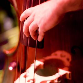 © Vincent Cordelette